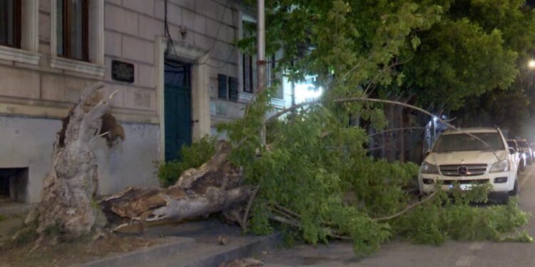 ბათუმში ქარის შედეგების სალიკვიდაციო სამუშაოები მიმდინარეობს