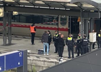 ჰამბურგის რკინიგზის სადგური