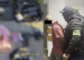 კრიმინალი დააკავეს