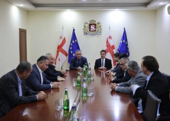 რეგიონული განვითარების მინისტრმა გურიაში ახალი სახელმწიფო რწმუნებული წარადგინა