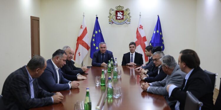 რეგიონული განვითარების მინისტრმა გურიაში ახალი სახელმწიფო რწმუნებული წარადგინა