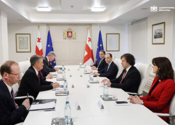 სენატორი დეინსი საქართველოში