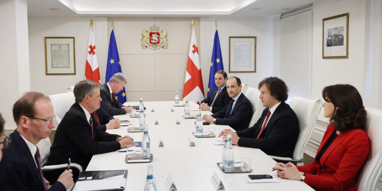 სენატორი დეინსი საქართველოში