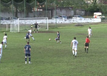 ოზურგეთის "მერცხალი"