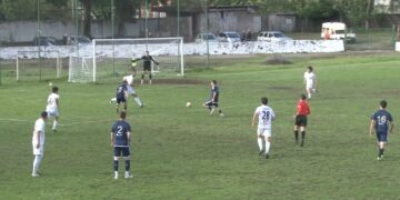 ოზურგეთის "მერცხალი"