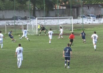 ოზურგეთის "მერცხალი"