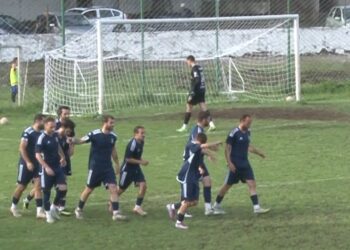 მერცხალი