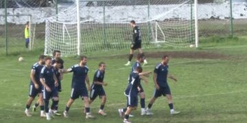 მერცხალი