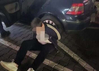 პოლონეთში, ქურდობის ბრალდებით საქართველოს მოქალაქეები დააკავეს