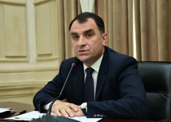 ბათუმის მერმა თანამდებობა დატოვა