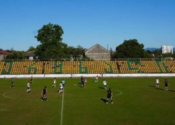 ოზურგეთის "მერცხალი"