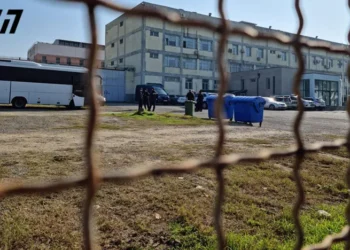 გამორიცხულია, რომ ადამიანს დაცემის შედეგად 27 დაზიანება მიეღო, დანამდვილებით ვიცი, რომ სცემეს – გარდაცვლილი პატიმრის ძმა