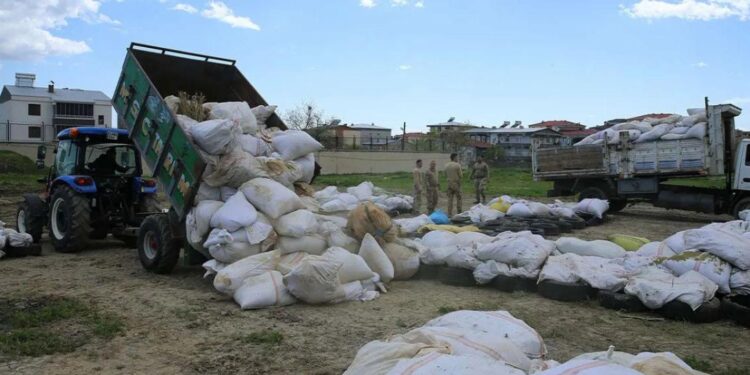 თურქეთში მარიხუანას დაწვის გამო ქალაქი კვამლში გაეხვა
