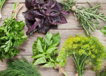 „ქავილი, გამონაყარი, ხველება, ასევე მოქმედებს ნერვულ სისტემაზეც“ – ეკოტოქსიკოლოგის გაფრთხილება