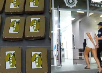 აეროპორტში შემოჰქონდა დიდი რაოდენობით ჰაშიში და მარიხუანა – დააკავეს უცხო ქვეყნის მოქალაქე