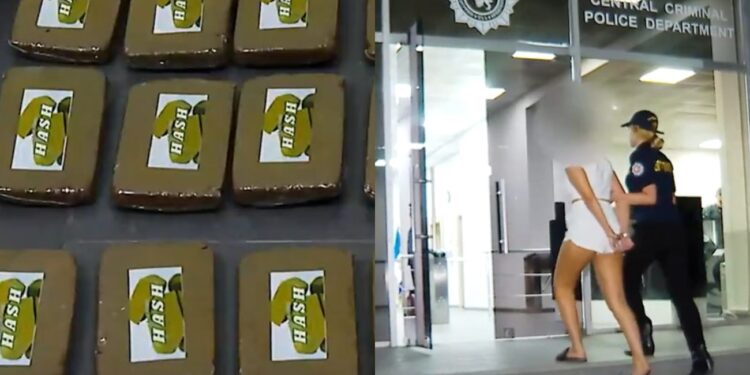 აეროპორტში შემოჰქონდა დიდი რაოდენობით ჰაშიში და მარიხუანა – დააკავეს უცხო ქვეყნის მოქალაქე