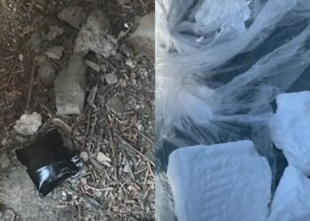 ნარკოტიკები