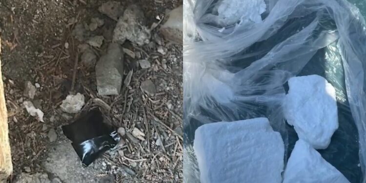 ნარკოტიკები