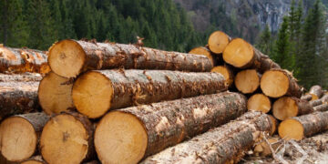 ხე-ტყე, ხის მასალა და მორები