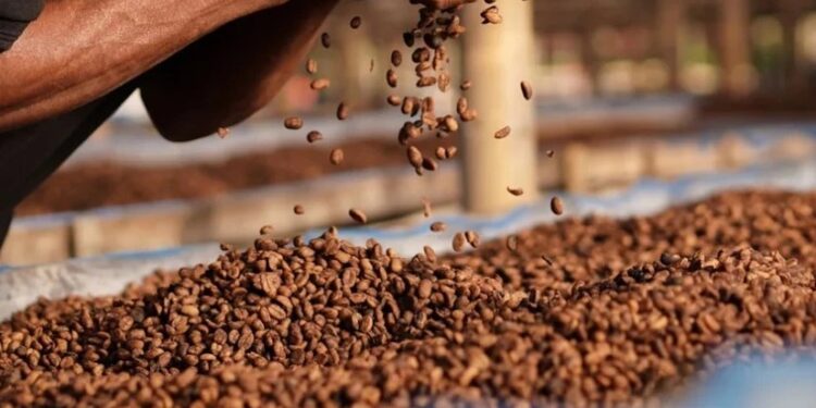 ყავის ფასი ისევ იზრდება