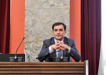 სახელმწიფო ელექტროსისტემის დირექტორად ვანო ზარდიაშვილი დაინიშნა