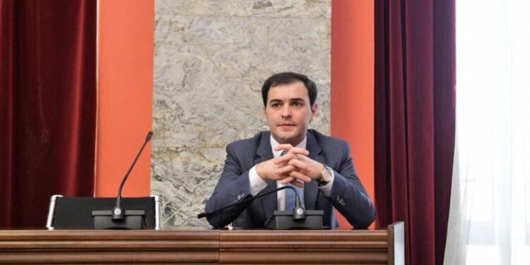 სახელმწიფო ელექტროსისტემის დირექტორად ვანო ზარდიაშვილი დაინიშნა