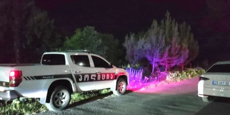 ახალგაზრდა ქალს მრავლობითი დაზიანებები აქვს მიყენებული – გორში ქმარმა ცოლი დაჭრა