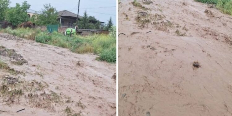 უხვმა ნალექმა ხევების ადიდება გამოიწვია, დატბორილია გზები და სახლები – სტიქია კახეთში