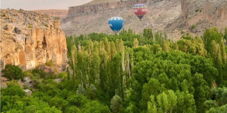 დაიღუპა ერთი და დაშავდა 31 ადამიანი, ტურისტული საჰაერო ბურთების ჩამოვარდნის შედეგად, თურქეთში