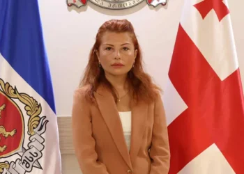შინაგან საქმეთა მინისტრს ახალი მოადგილე ჰყავს