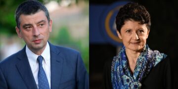 2 ივლისს, გახარია წულუკიანის კომისიაზე ონლაინ ჩართვით დაიკითხება