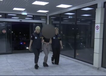 ვიდეო – საქართველოდან უცხო ქვეყნის 25 მოქალაქე გააძევეს