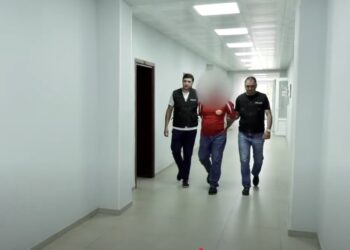 ნარკორეალიზატორი