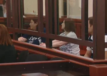 აქტივისტს, ნინო დათაშვილს აღკვეთის ღონისძიების სახით პატიმრობა შეეფარდა