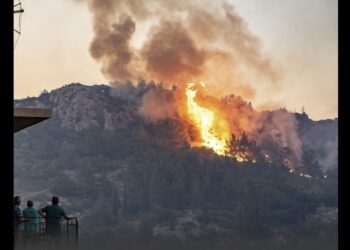 საბერძნეთში, ხანძრის გაჩენის საქმეზე, ქართველ ქალს 3-წლიანი პატიმრობა და 10 000 ევროს ჯარიმა დააკისრეს