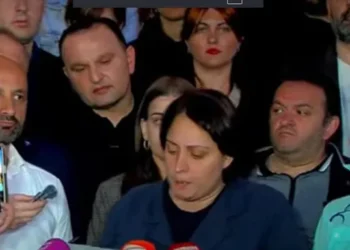 ელენე ხოშტარია შიმშილობას წყვეტს – რვა ოპოზიციური პარტიის საერთო განცხადება