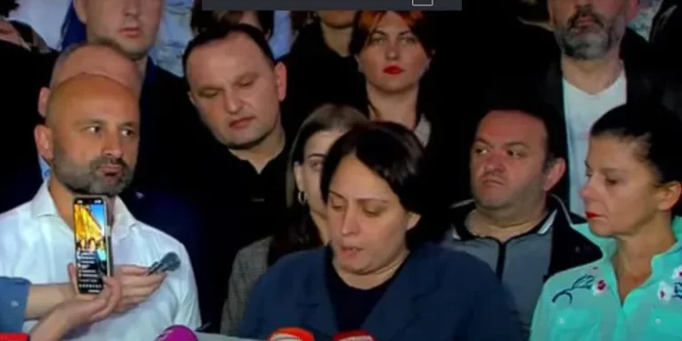 ელენე ხოშტარია შიმშილობას წყვეტს – რვა ოპოზიციური პარტიის საერთო განცხადება