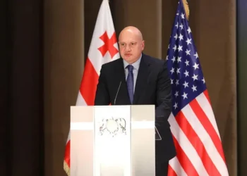 იოსებ ჭელიძემ შს მინისტრის მოადგილის თანამდებობა დატოვა