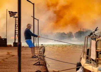 ქართველი ქალი საბერძნეთში ტყის ხანძრის უნებლიედ გაჩენისთვის დააკავეს