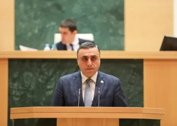 დავით მათიკაშვილის განმარტებით, „გარკვეულ ტექნიკურ უზუსტობას ჰქონდა ადგილი“ და „სიტყვისა და გამოხატვის თავისუფლების შესახებ“ კანონში აზრისა და მოწოდების თავისუფლების შესახებ მუხლი რჩება და მას არ ეხებიან