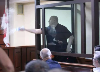 მოსამართლისთვის წყლის შესხმის ფაქტზე, ნიკა მელიას აღკვეთის ღონისძიების სახით პატიმრობა შეეფარდა