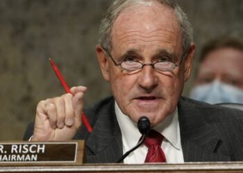 რიში: ქართული ოცნების მთავრობის მიერ დრაკონული კანონების მიღება სრულად მიუღებელია