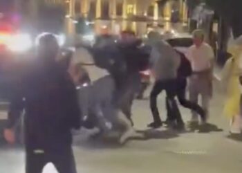 აქციის მონაწილეებისთვის მანქანის დაჯახების ფაქტზე 1 პირი დააკავეს – შსს