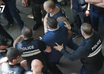 გიორგი ვაშაძე დააკავეს