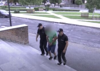 ვიდეო – დააკავეს კაცი, რომელმაც ორი პირი, მათ შორის პოლიციელი დაჭრა