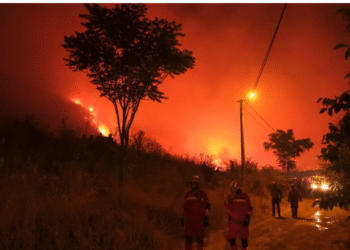 თურქეთში ტყის ხანძრის შედეგად დაღუპულთა რაოდენობა 17-მდე გაიზარდა