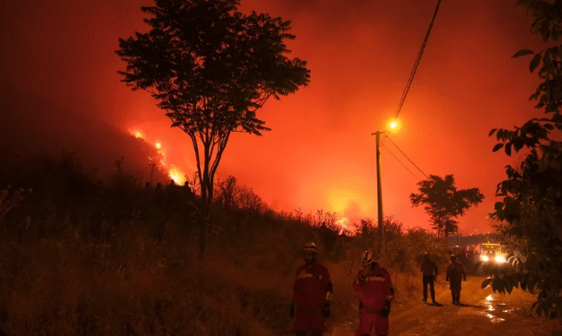 თურქეთში ტყის ხანძრის შედეგად დაღუპულთა რაოდენობა 17-მდე გაიზარდა