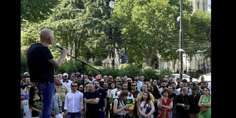 „არ დაიჭირო!“ – “გირჩი” მოქმედი ნარკოპოლიტიკის წინააღმდეგ პარლამენტთან აქციას მართავს