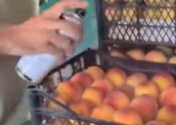 სურსათის სააგენტომ ატმის შეღებვის ფაქტზე სამართალდამცავ ორგანოებს მიმართა