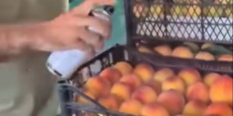 სურსათის სააგენტომ ატმის შეღებვის ფაქტზე სამართალდამცავ ორგანოებს მიმართა